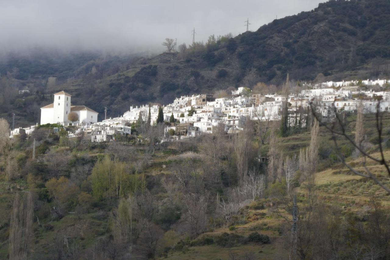 Apartment La Higuera Bubion