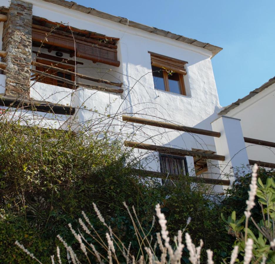 La Higuera Apartment Bubion