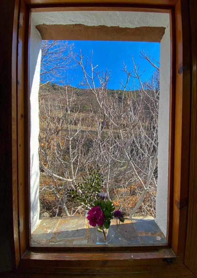 La Higuera Apartment